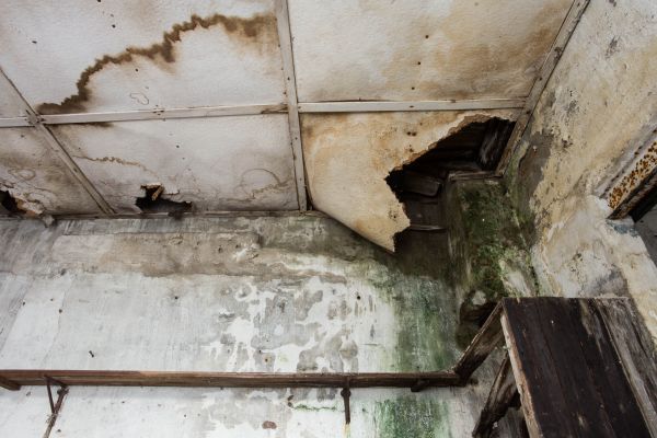 Water Damage Service in Edison