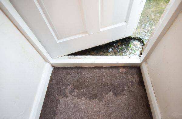 Cost of Wet Carpet Restoration in Edison
