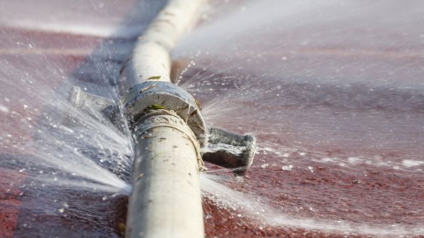 Cost of Burst Pipe Cleanup in Edison