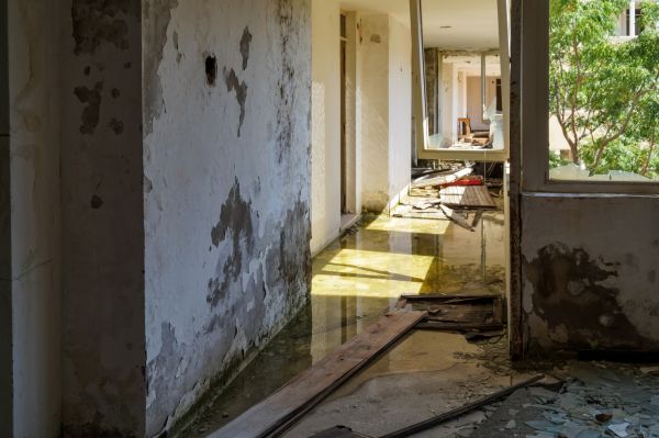Cost of Water Removal Service in Edison