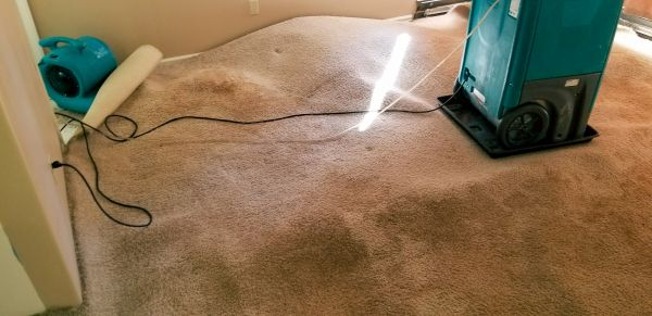 Cost of Carpet Water Extraction in Edison