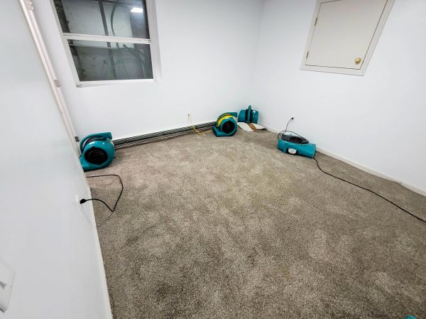 Flood Restoration Service in Edison