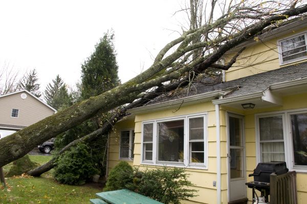 Hurricane Damage Repair in Edison