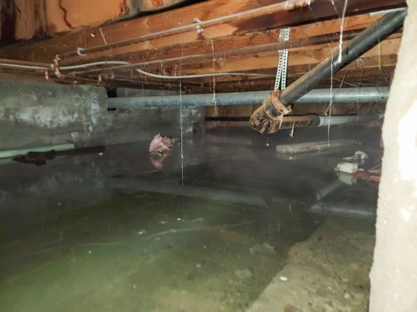 Cost of Crawlspace Water Restoration in Edison